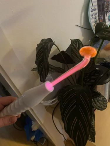Lura Pro photo review